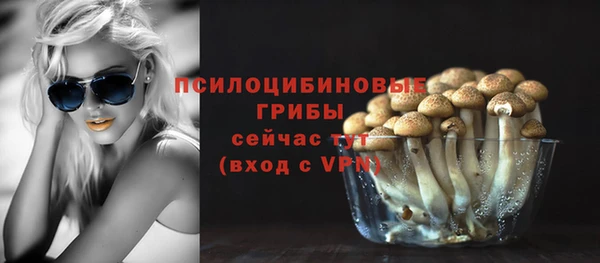 МДПВ Алексин